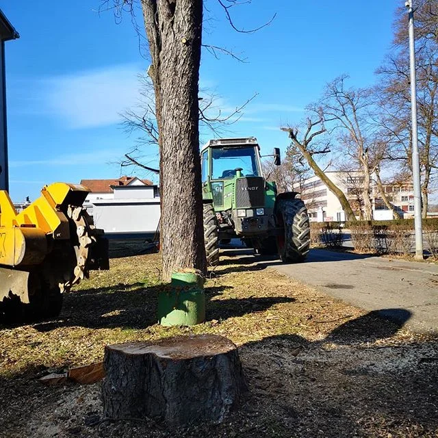 Visko #viskodoo #obrezovanjedreves #delonavisini #arborist #prekmurje #slovenia #igslovenia #mura #frezanje&scaron;torov #frezanjepanjev