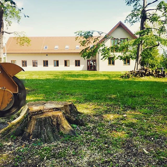 Visko #viskodoo #visinskoobzagovanjedreves #podiranjedreves#obrezovanjedreves #delonavisini #frezanjepanjev #frezanje&scaron;torov #arborist #slovenia #igslovenia #prekmurje #stihl #mura #ti&scaron;ina #park