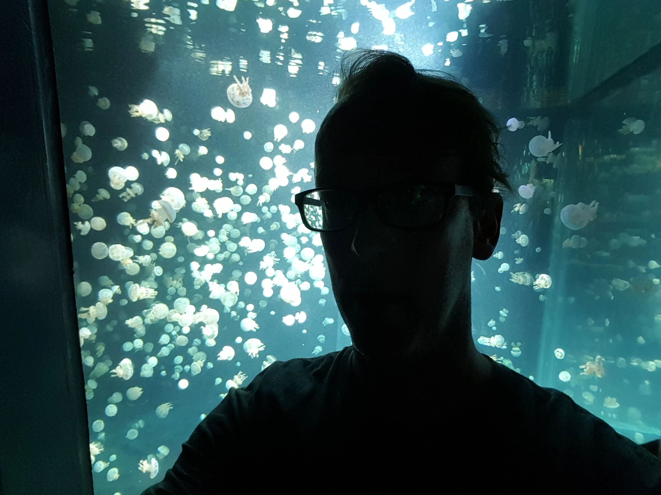 20160814_164036.jpg