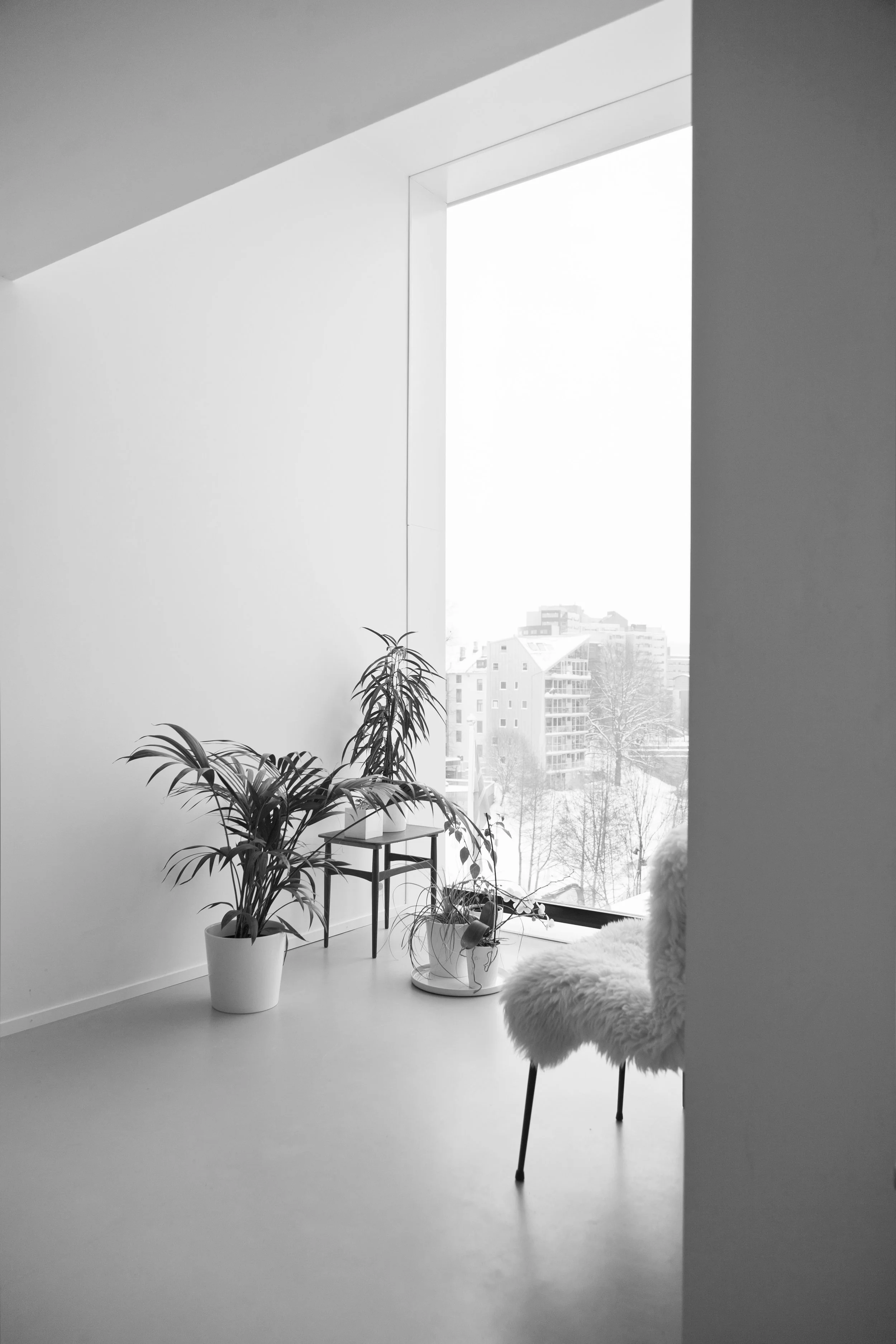 2bw copia.jpg