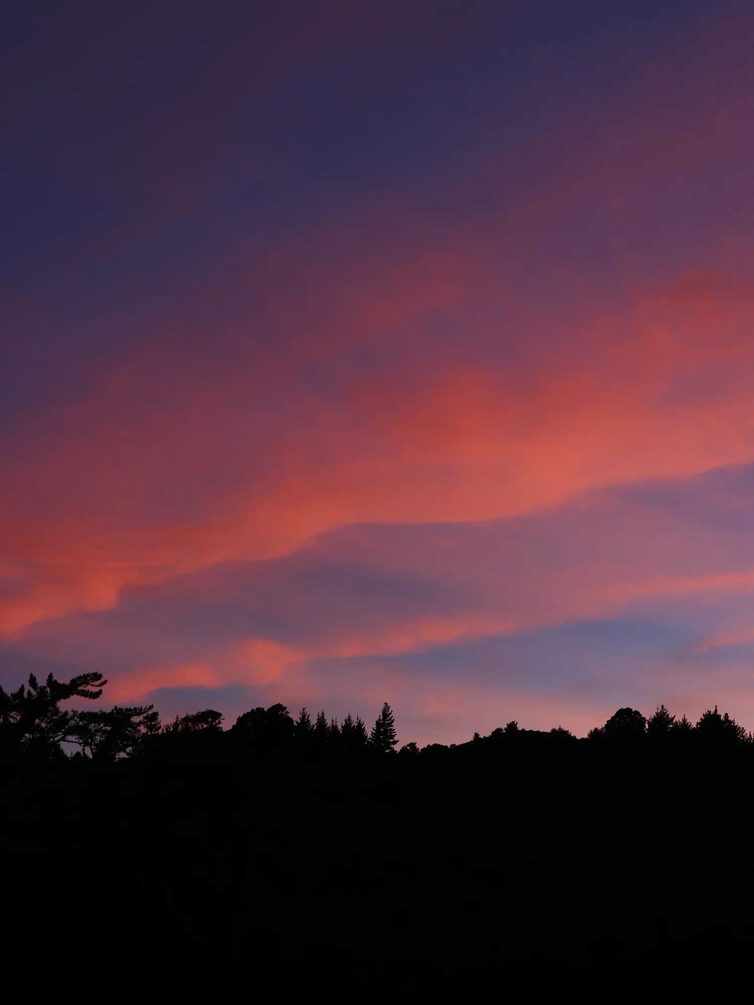 sunrise3.jpg