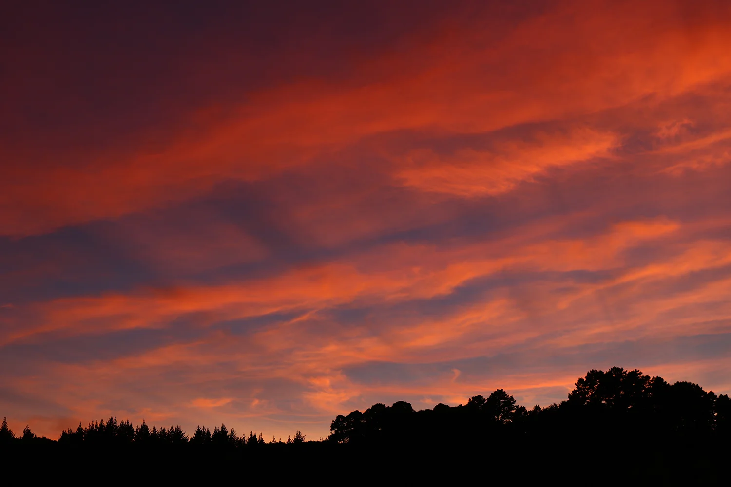 sunrise4.jpg
