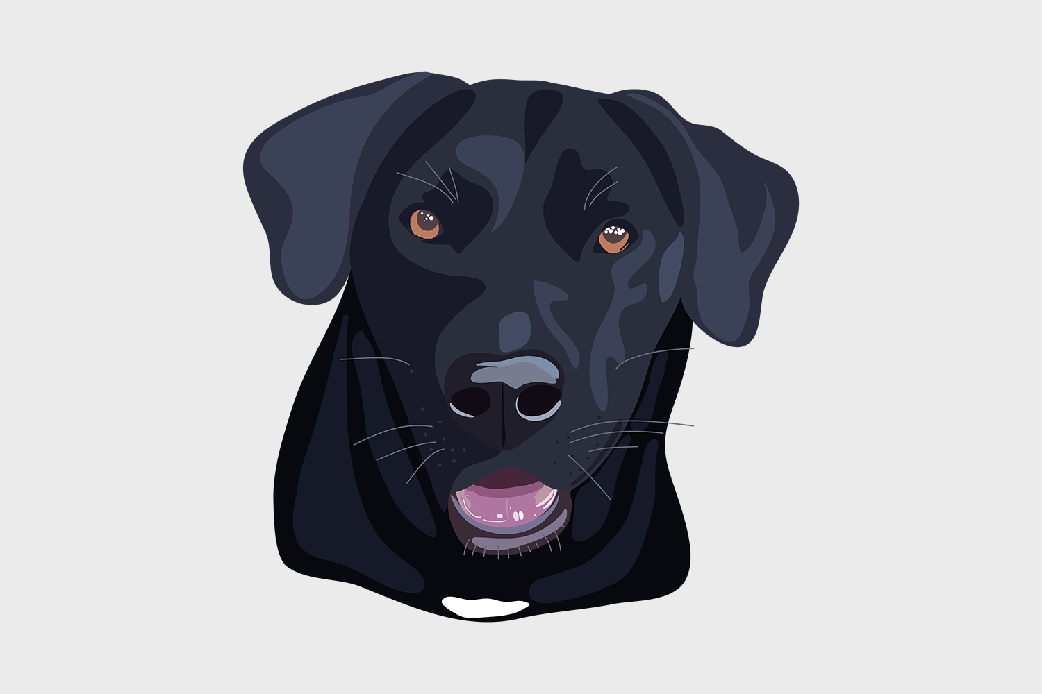 Walter the Black Labrador