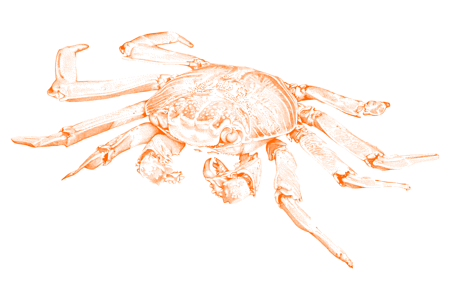 Crab Illustration - Pointillism 