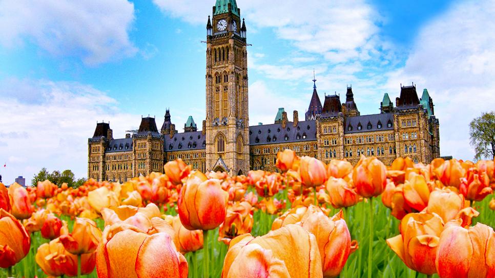 Tulip Festival Ottawa