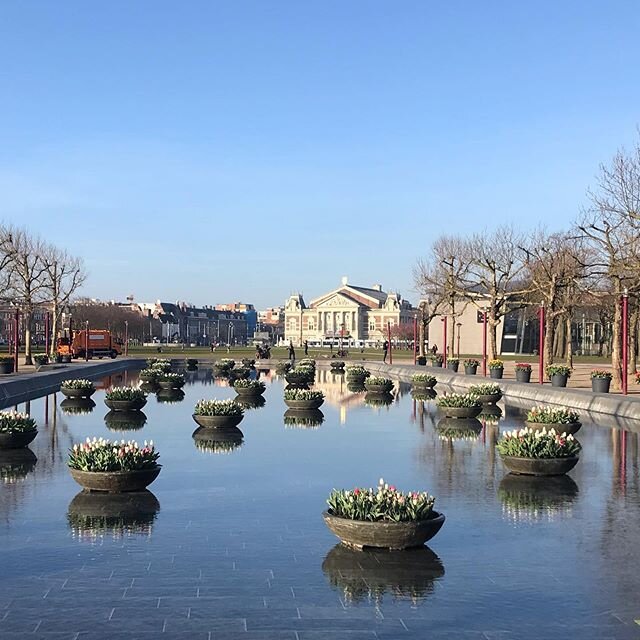 Heart of the City. Hope to see everyone back soon. And, even the tulips keep 1.5 physical distance. Keeping #physicaldistancing and working on lessening #socialdistancing&quot; #placemakingplus #bfas_amsterdam