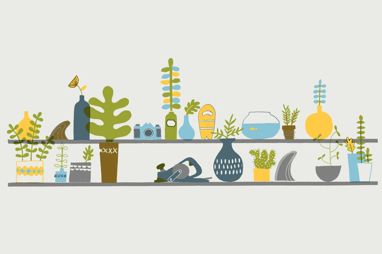 Shelves website2.jpg