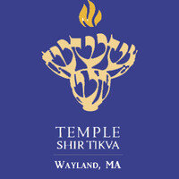 TST logo.jpeg
