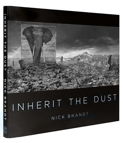 Inherit the Dust, Nick Bandt, 2015