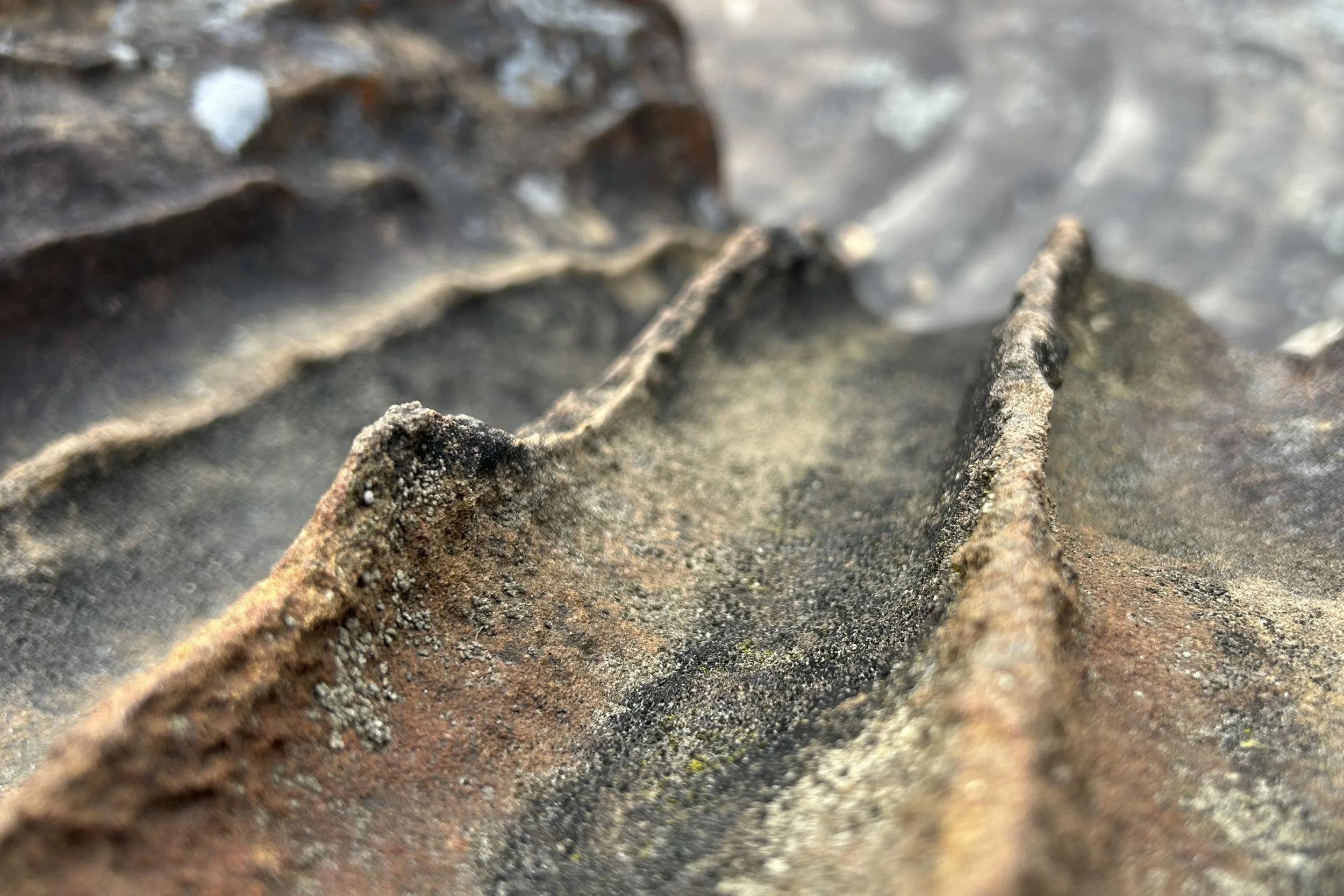 Blue Mountains New South Wales.jpeg