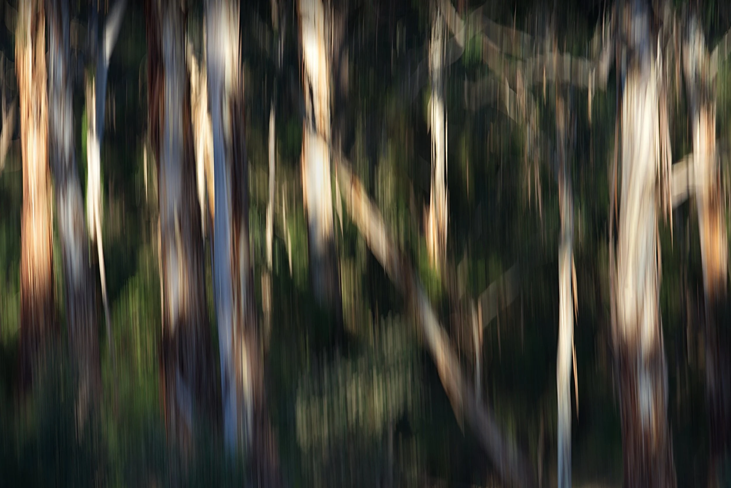 Warrandyte Melbourne.jpg