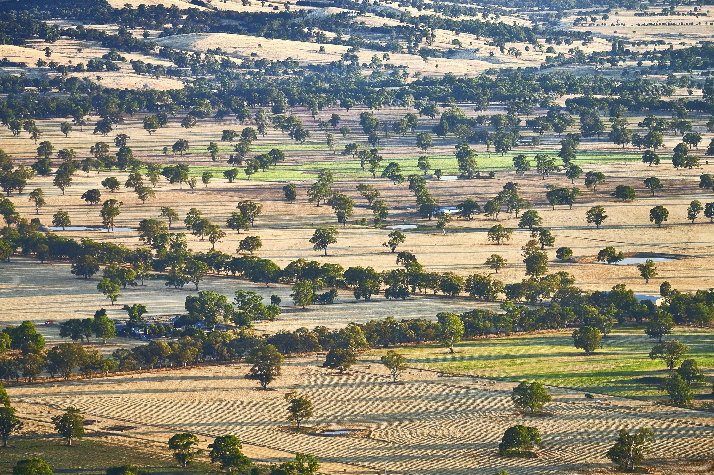 The Paps Victoria.jpg