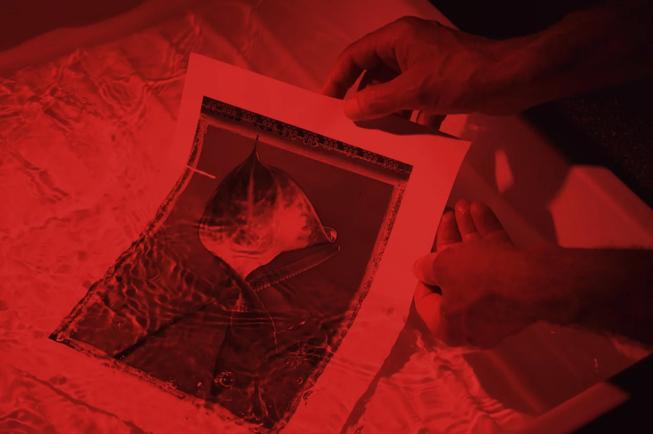 Stampa Analogica - Stampa Fine Art su carta Baritata ai sali d'Argento — Il Laboratorio