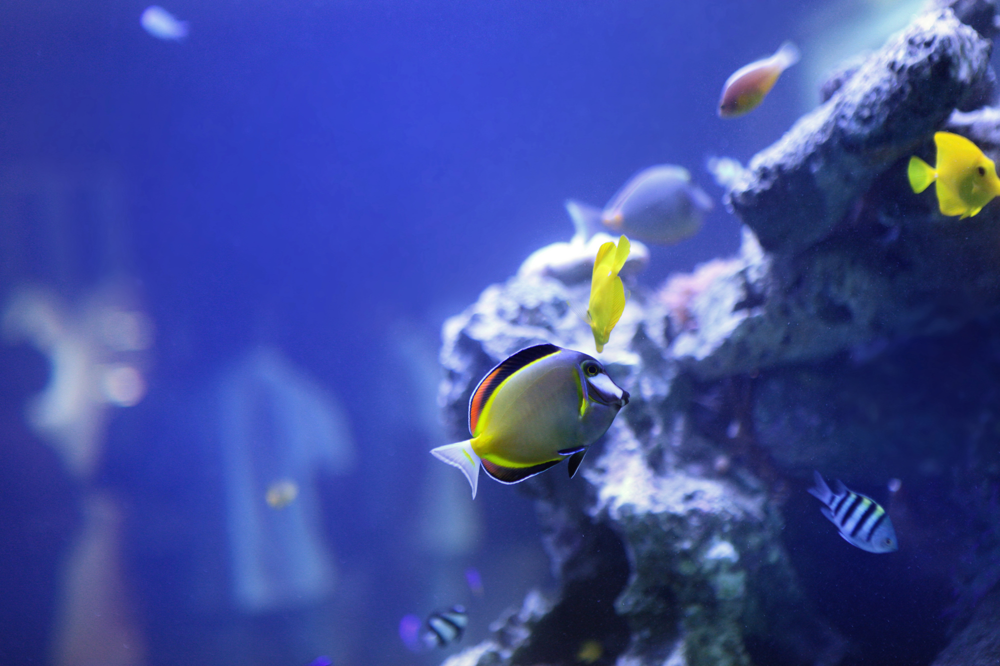 25 - Bungalow - 09.JPG