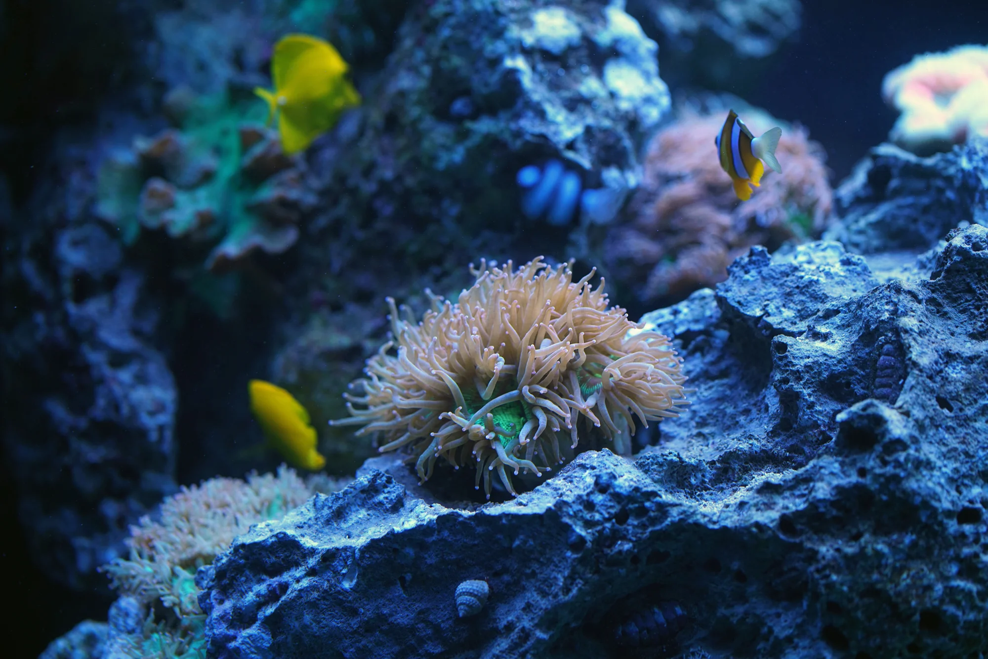 26 - Bungalow - 10.JPG