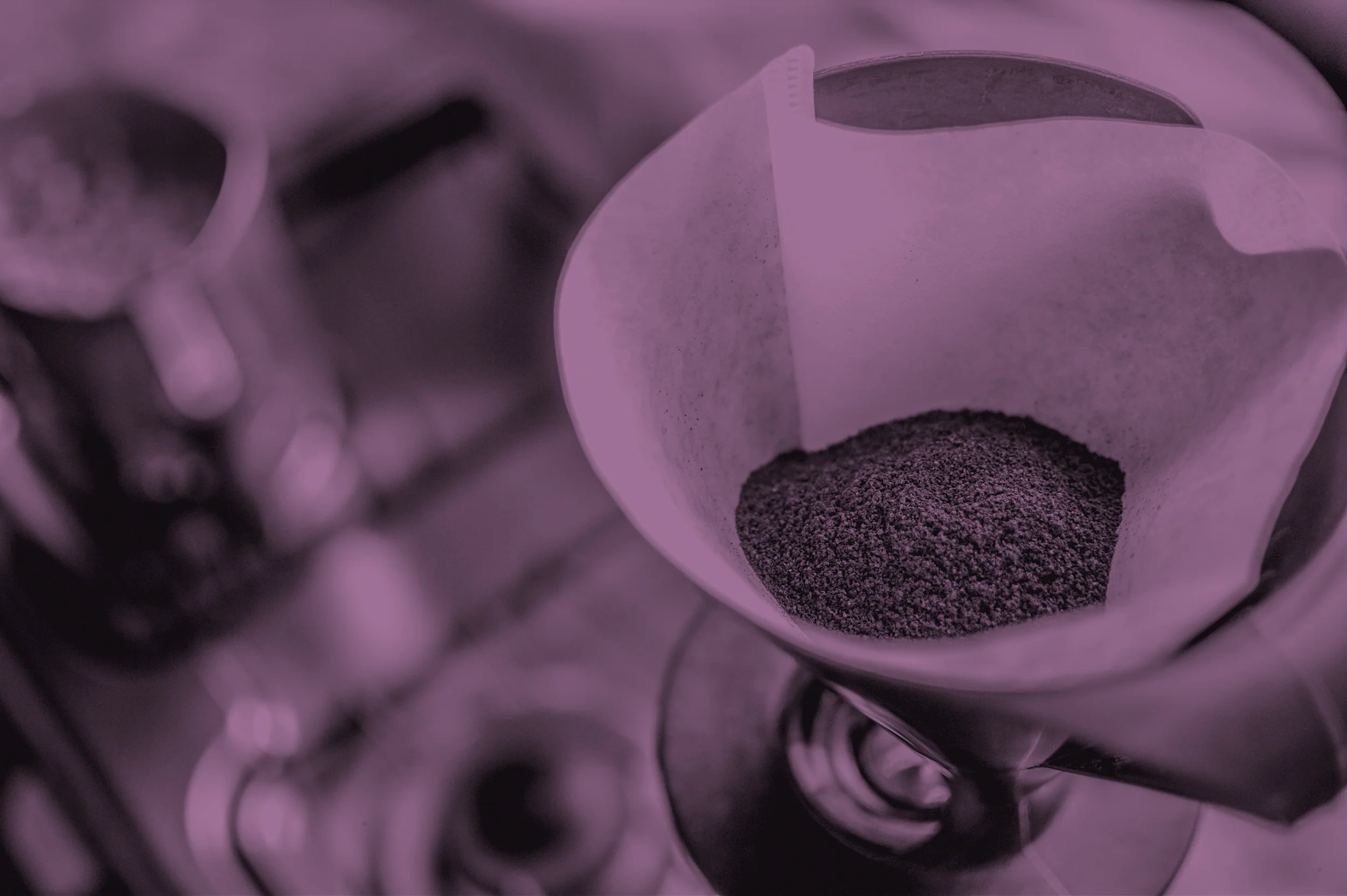 CCB - Coffee Grounds - Purple.jpg