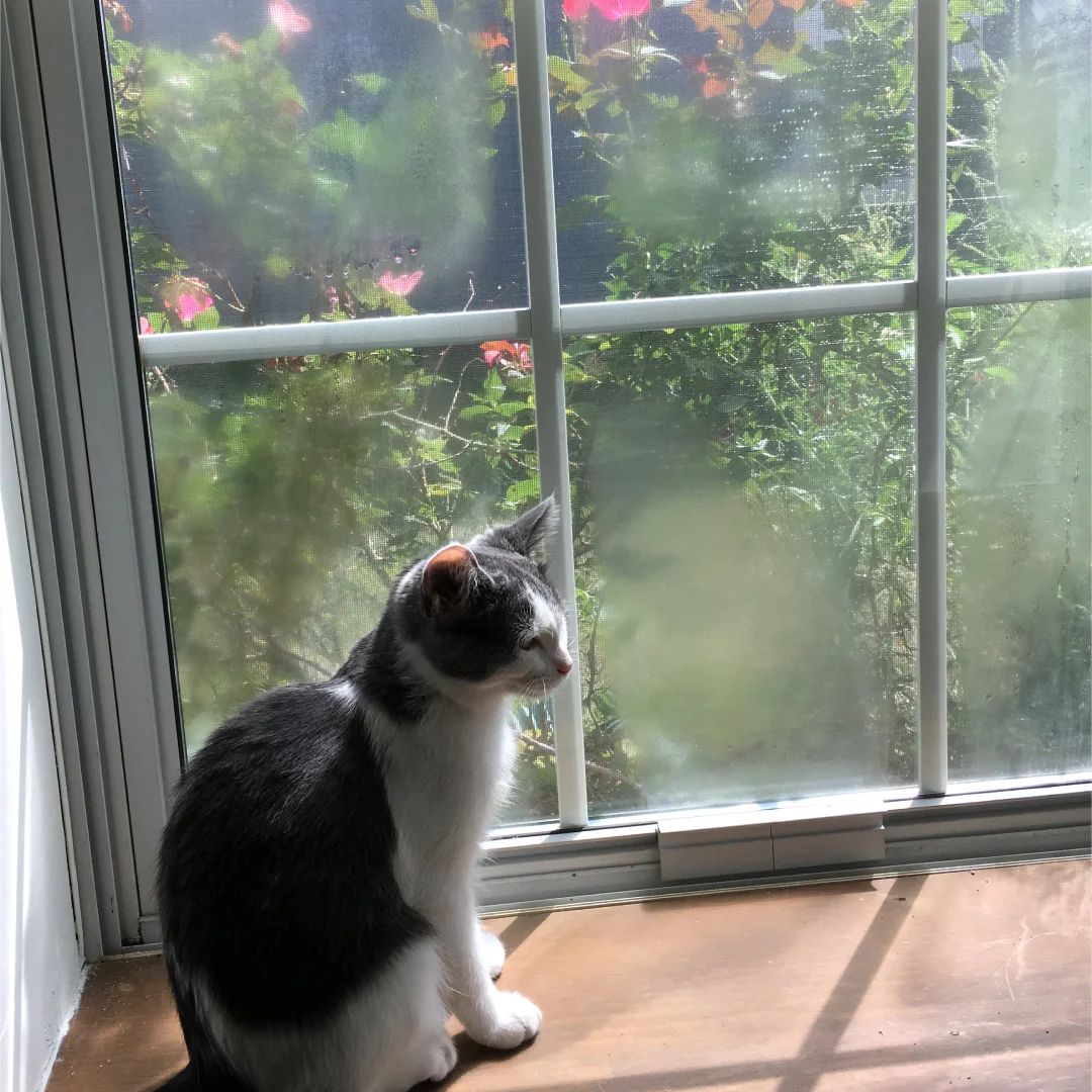 June at 6 months.