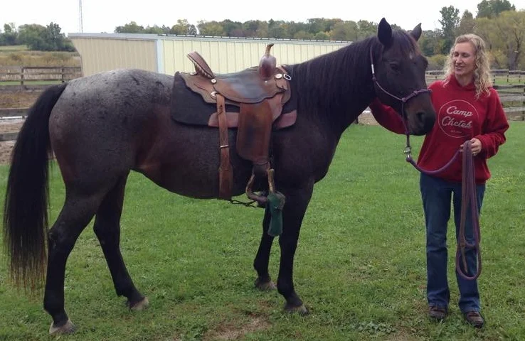 SALLY got adopted today!! Congratulations Stacey Mitchell of Chetek, Wisconsin on her adoption !! Sally will eventually become the "lead" trailhorse on rides led by Stacy at the camp she lives near. Super excited for both of them!!