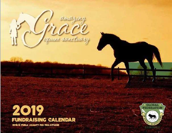 2019 Calendar.jpg