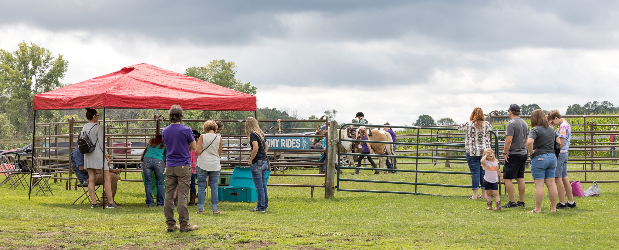 Pony Rides-3201.jpg