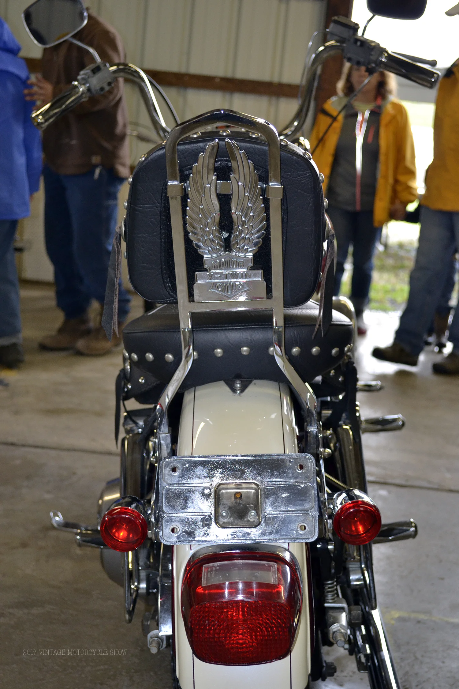_DSC0231103.jpg