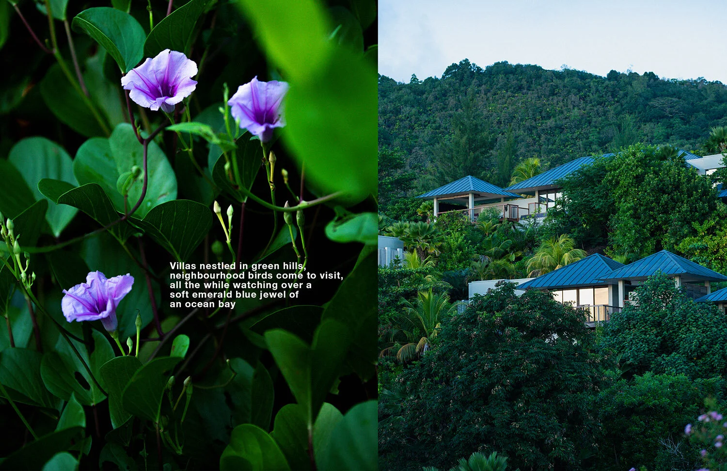 02 all the while.jpg