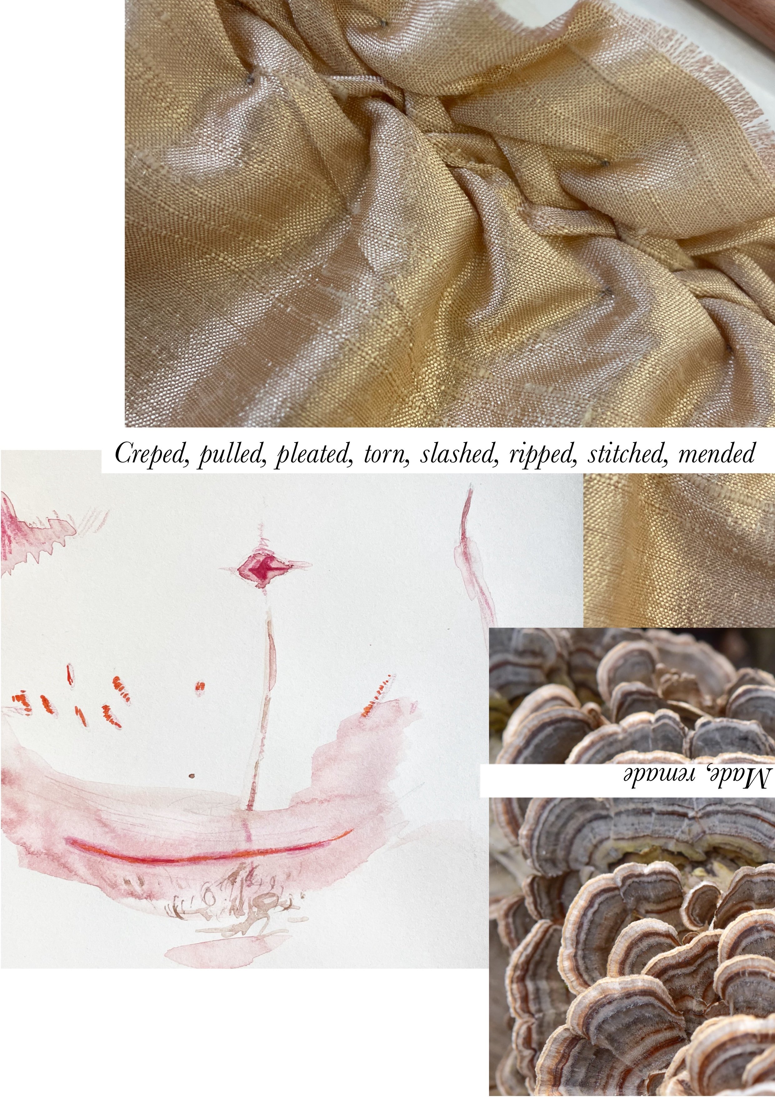 Personal Growth - limited edition booklet