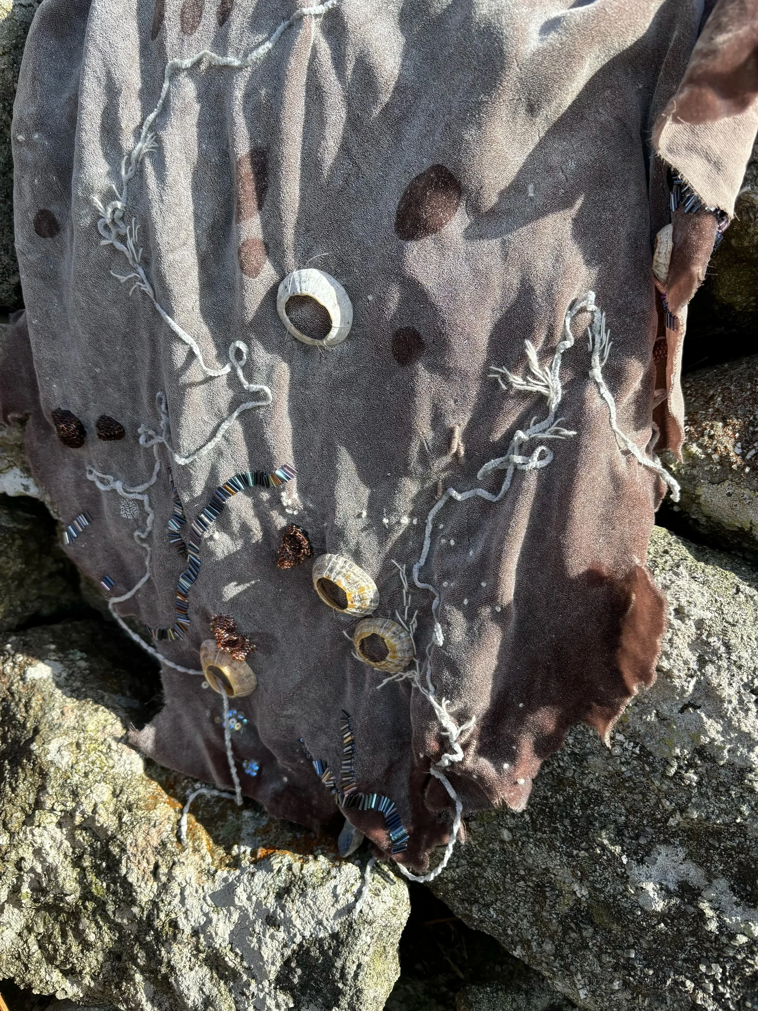 The Selkie Is At The Door