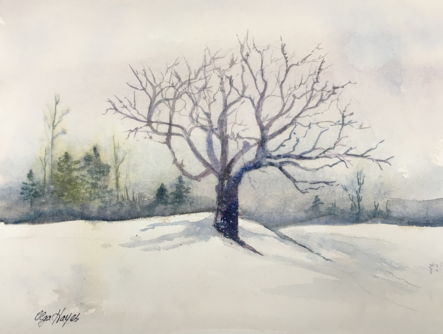   Tree in Winter  12x9 inches $120 
