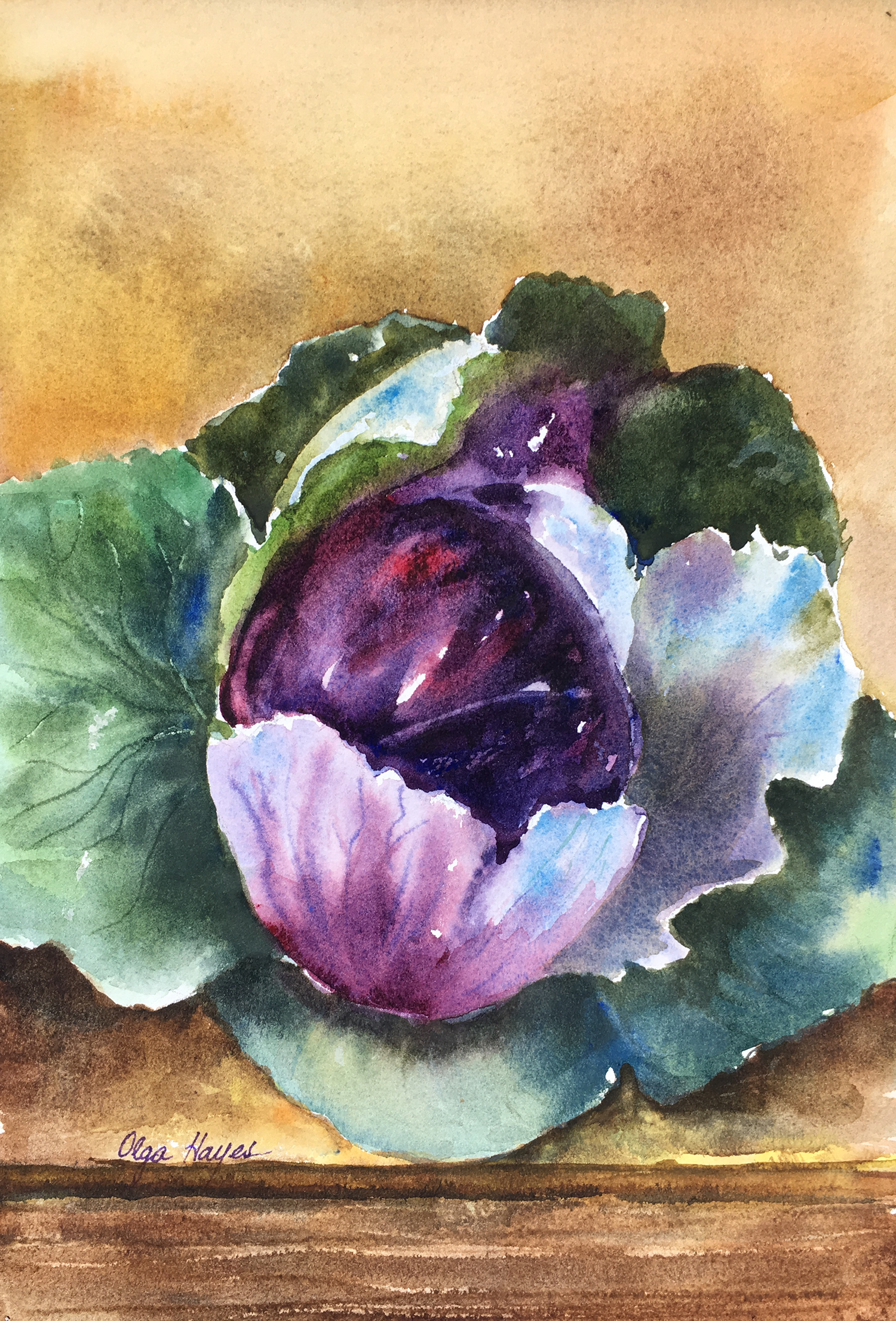   Cabbage  7x10 inches $90 
