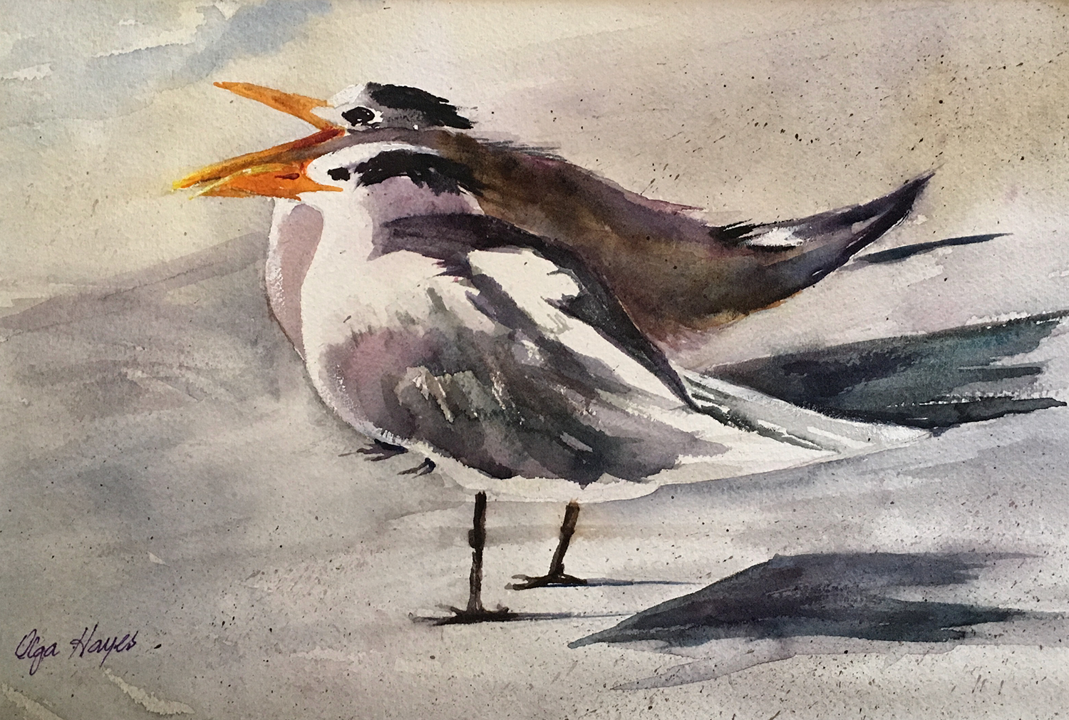   Lots to Say  24 X 20 inches, framed $350 