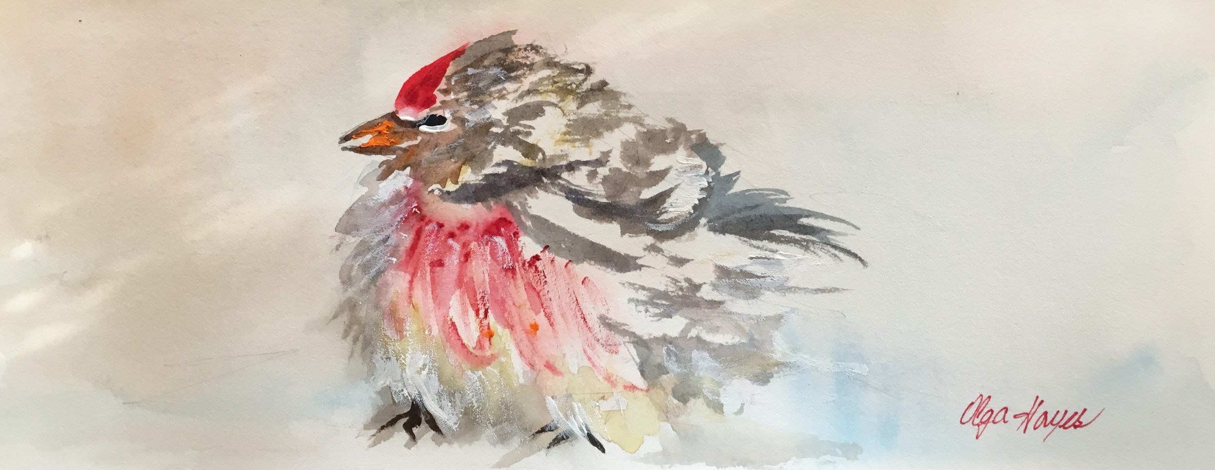   Common Redpoll  3.9 x 9.8 inches $60 