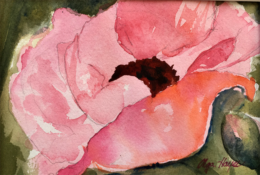   Poppy  4 X 6 inches $40 