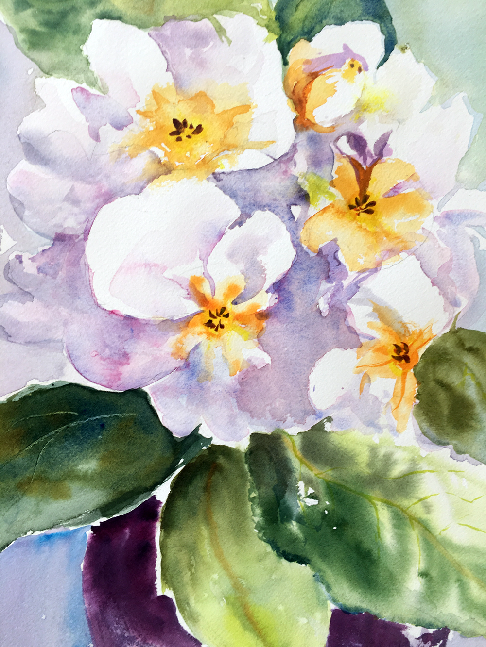   Primrose  13 X 16 inches $200 