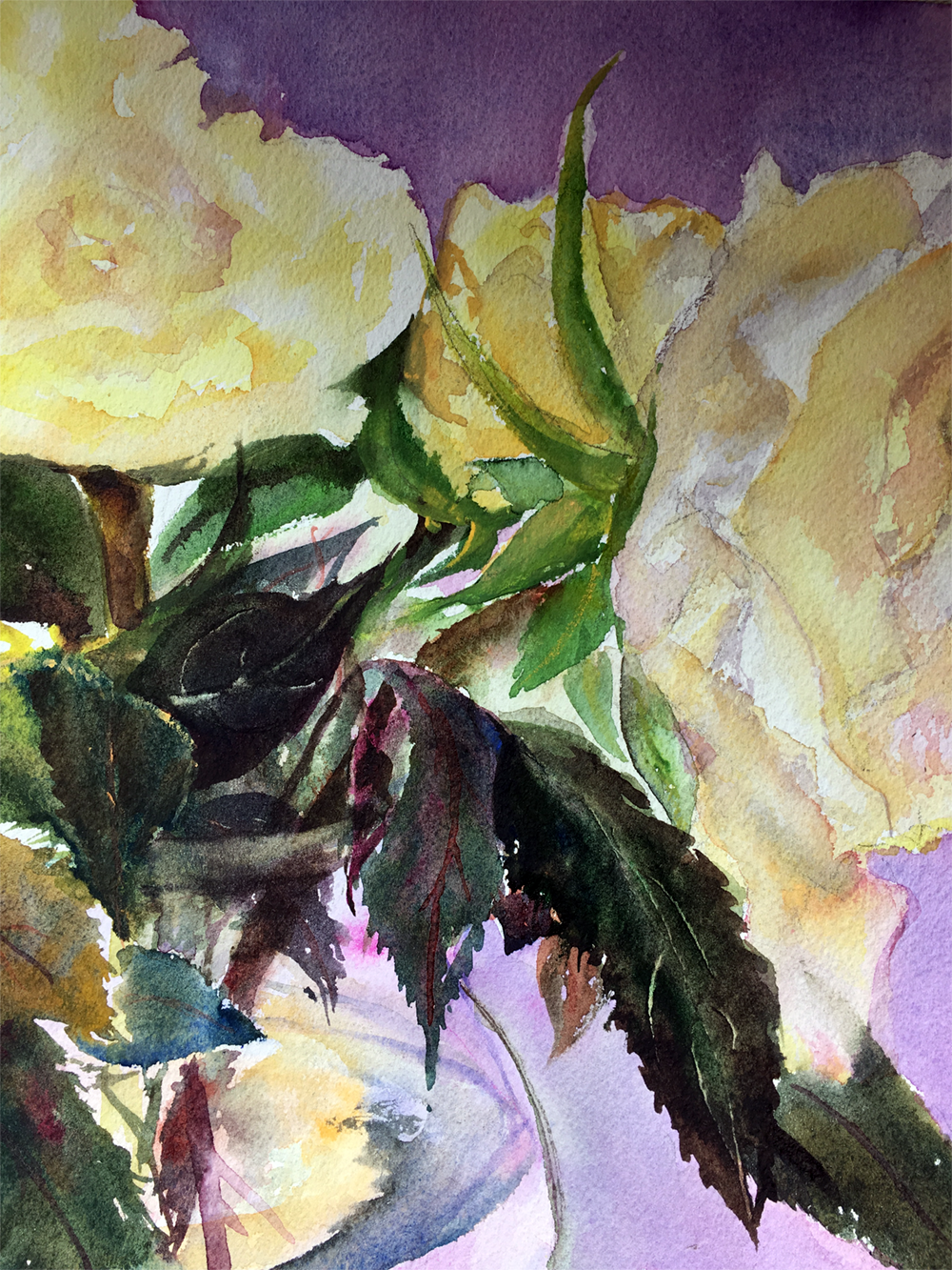   Yellow Roses  8 X 8 inches $80 