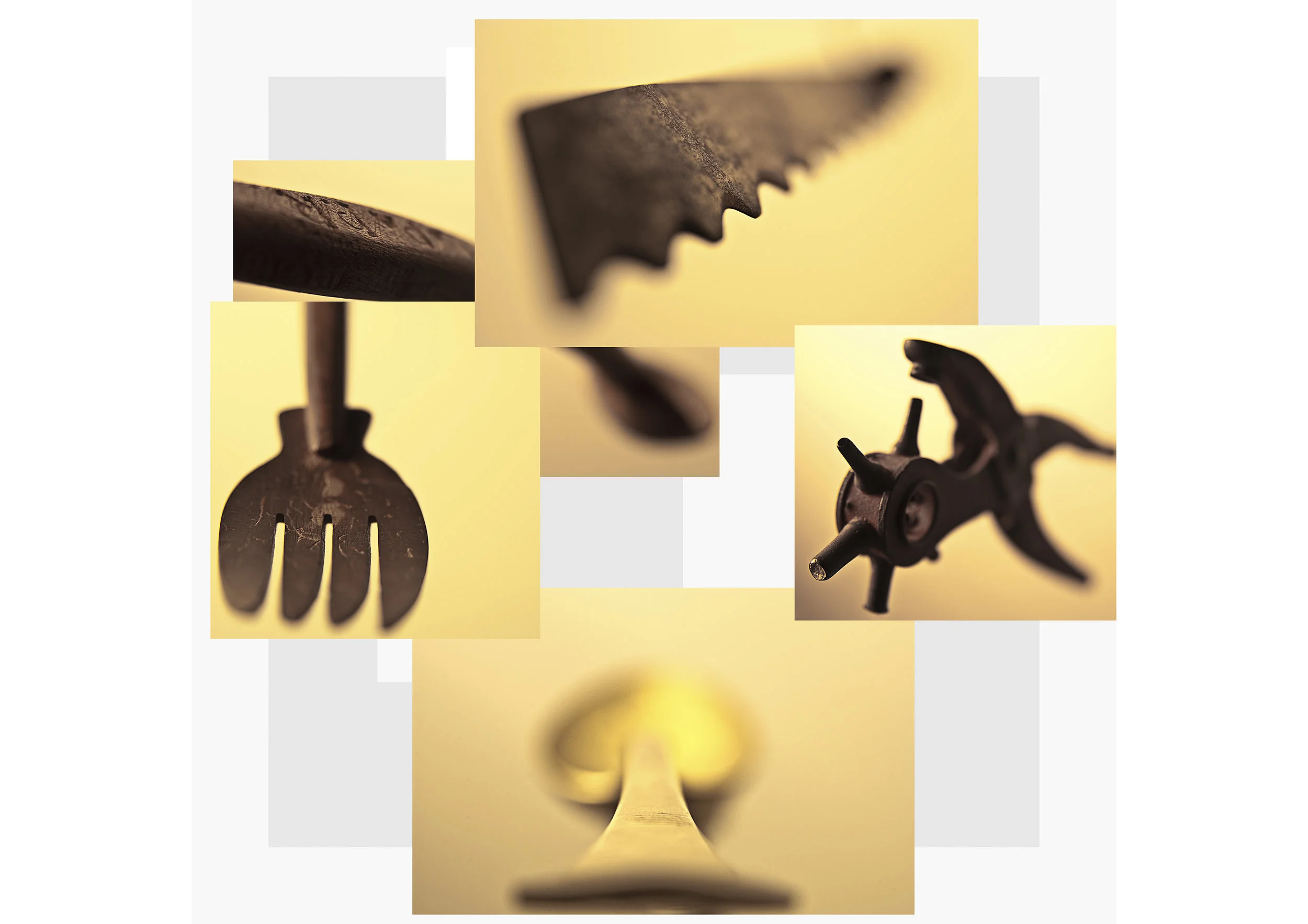 Sem Título-1_01.jpg