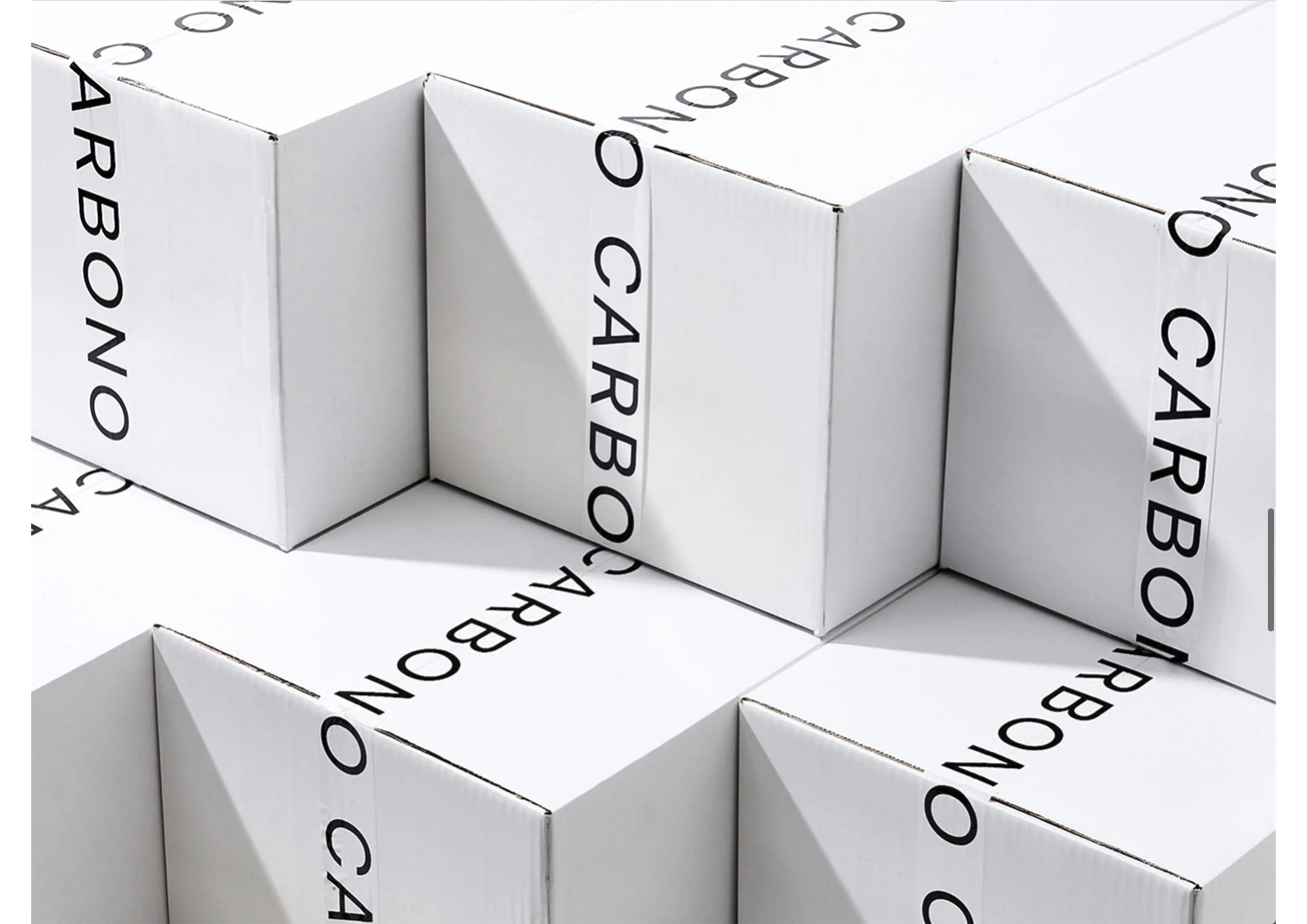 CArbono_02.jpg
