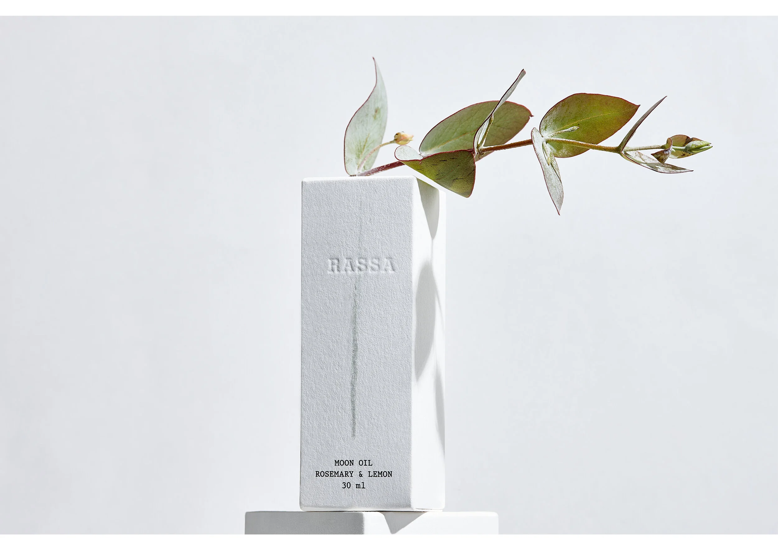 Rassa-1.jpg
