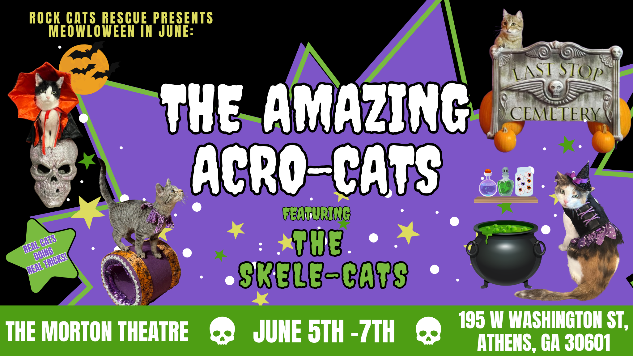 The Amazing Acro-Cats Meowloween in June Special! 