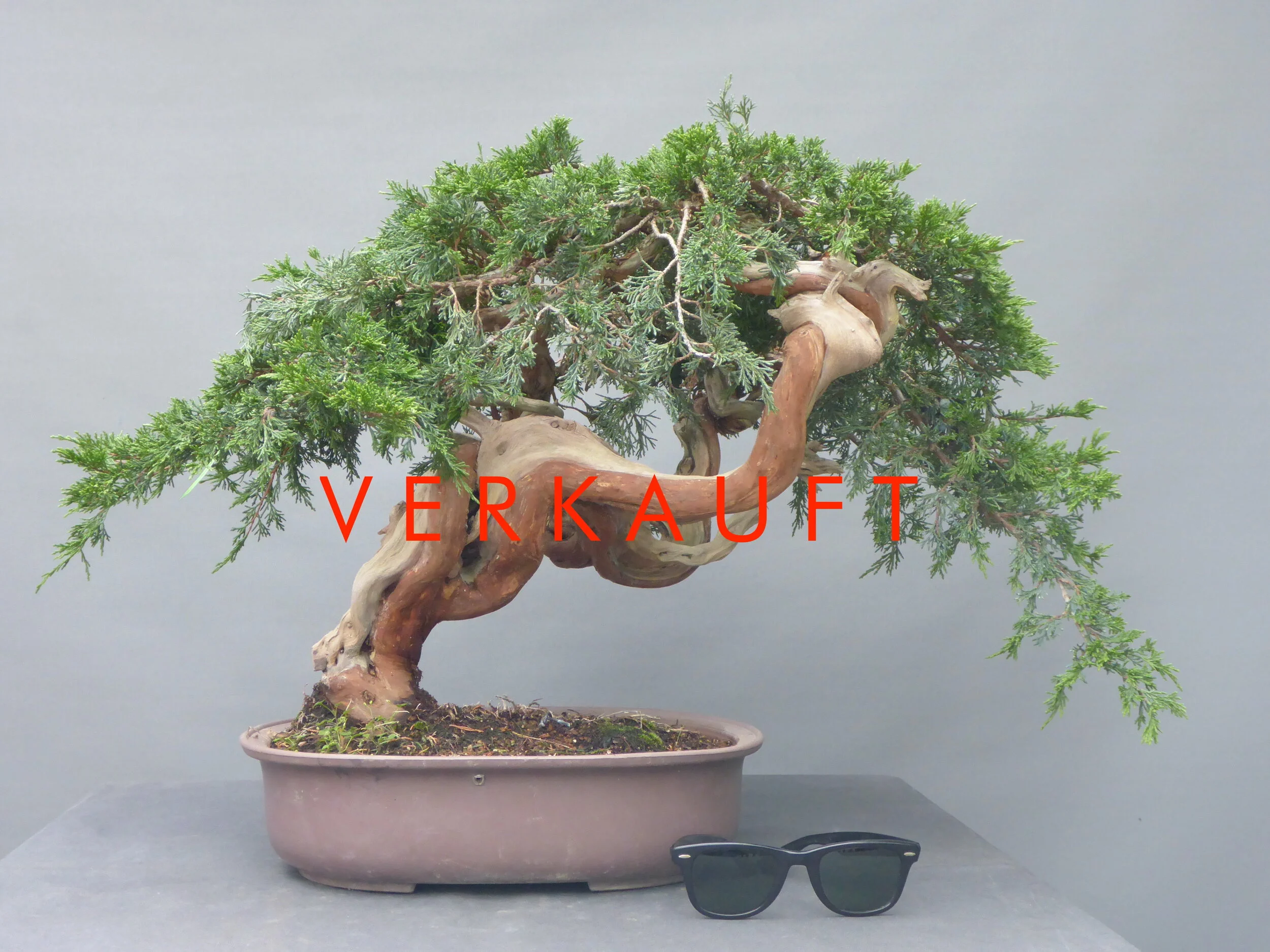 P1030166 verkauft.JPG