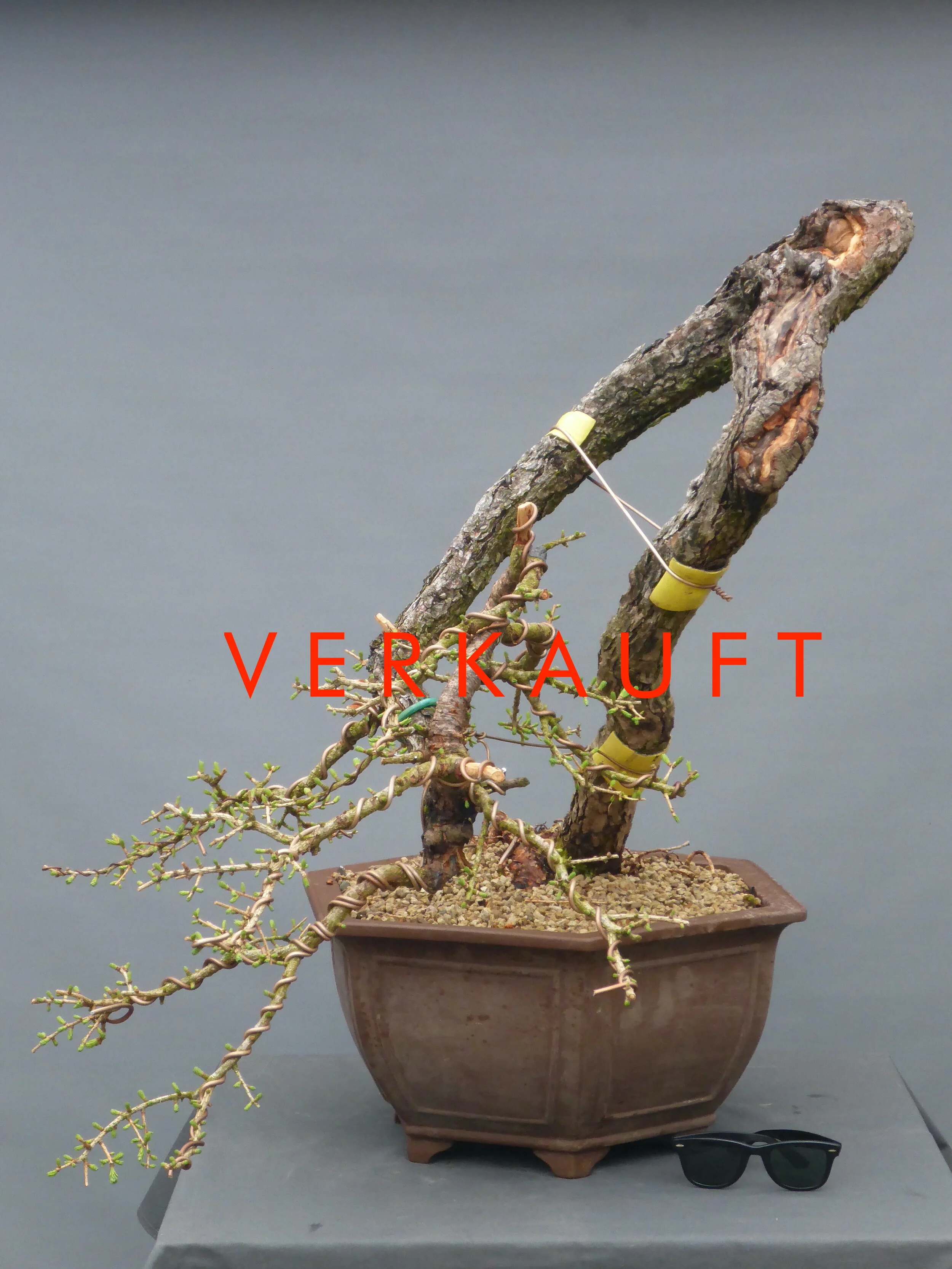 P1030605 verkauft.JPG