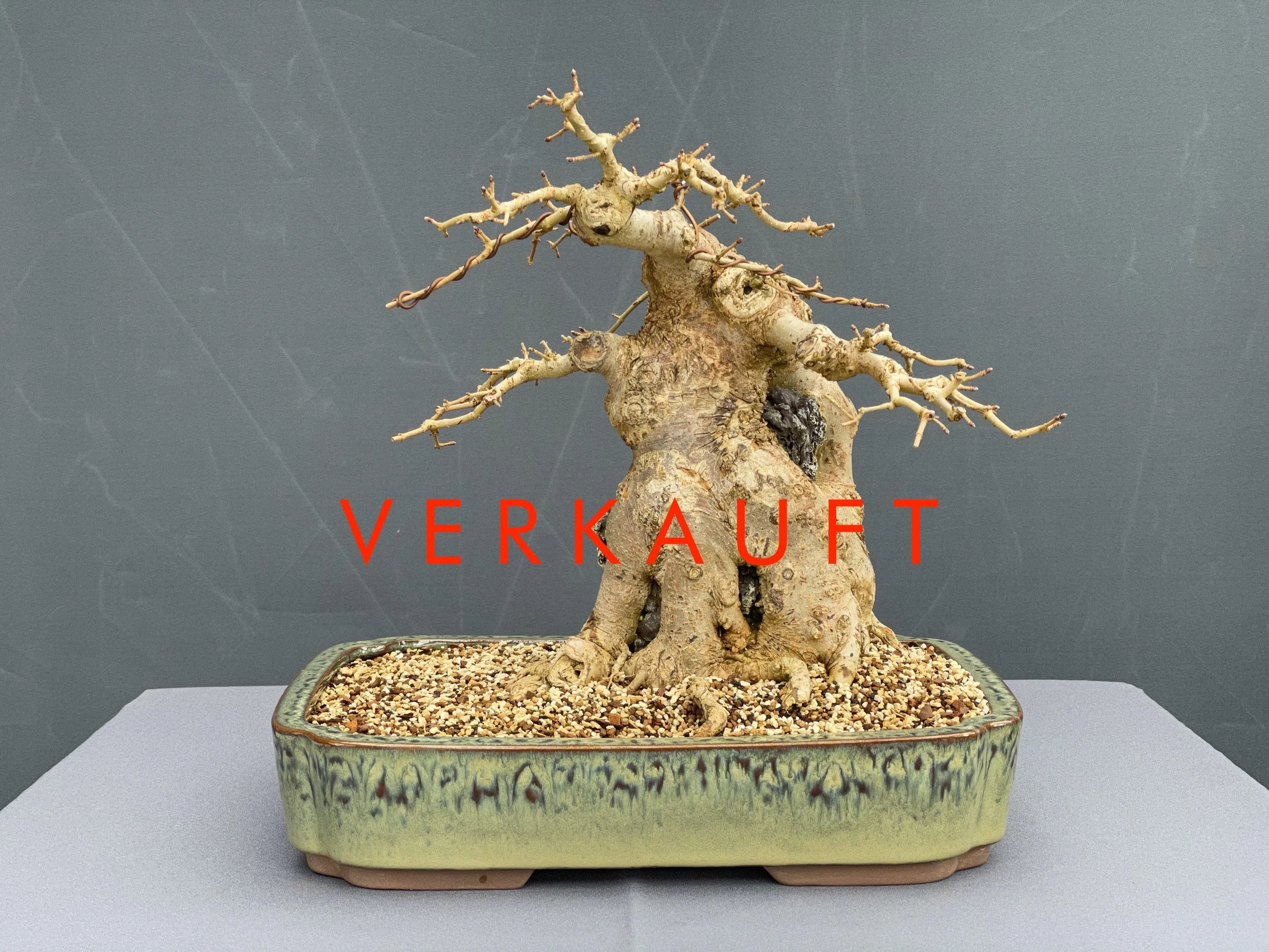 IMG_0818D verkauft.JPG