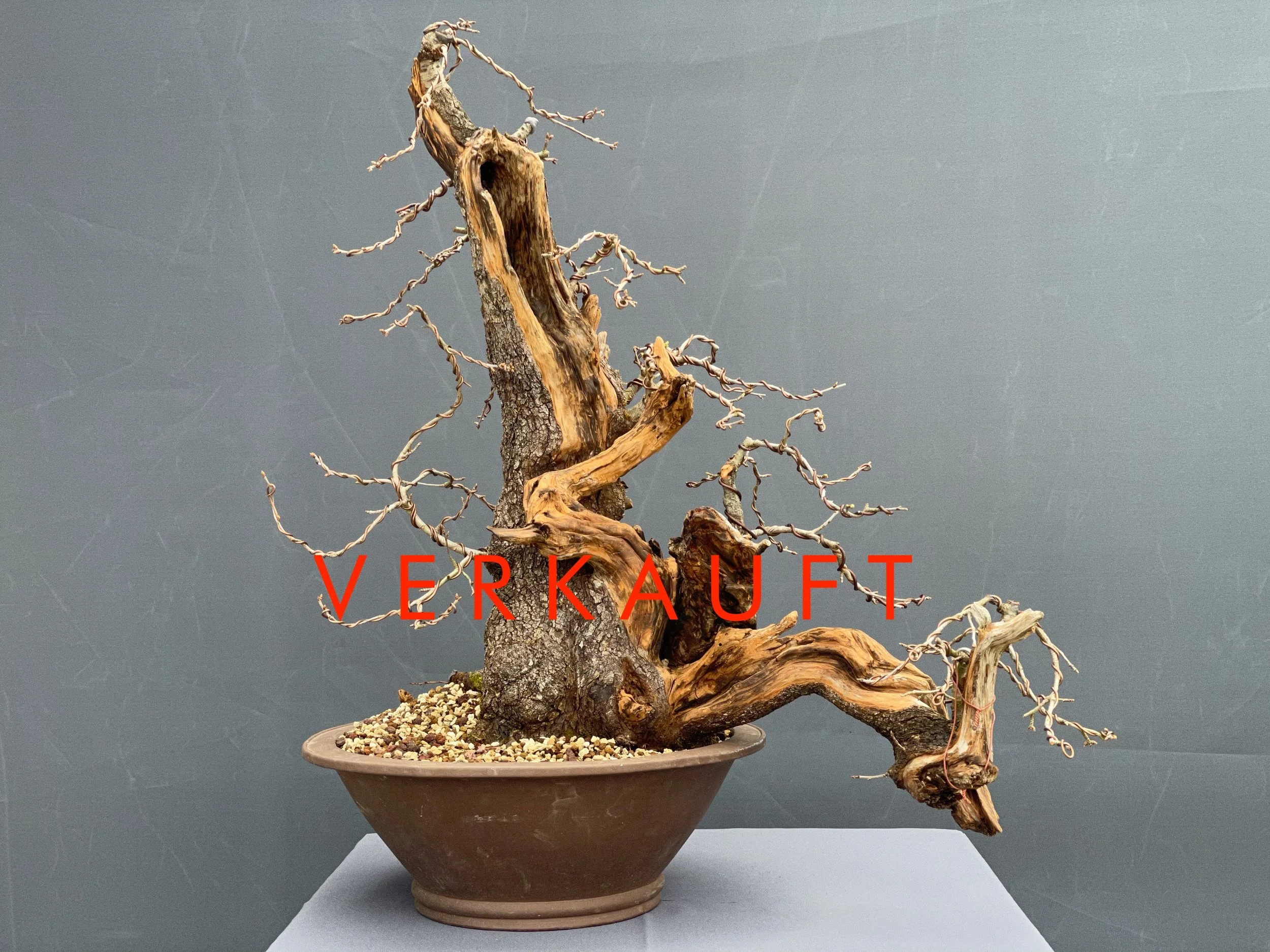 IMG_0867D verkauft.JPG