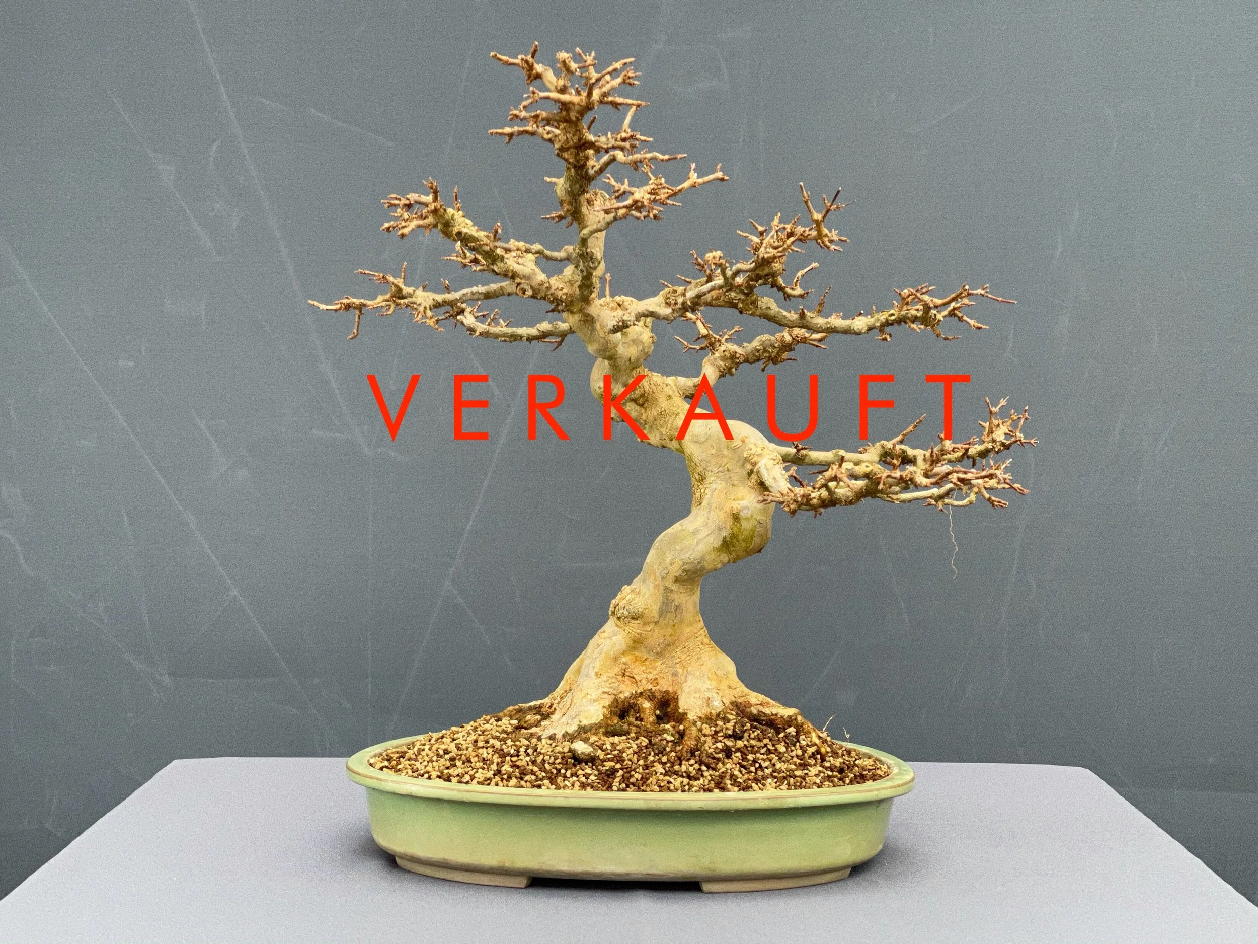 IMG_0679D verkauft.JPG