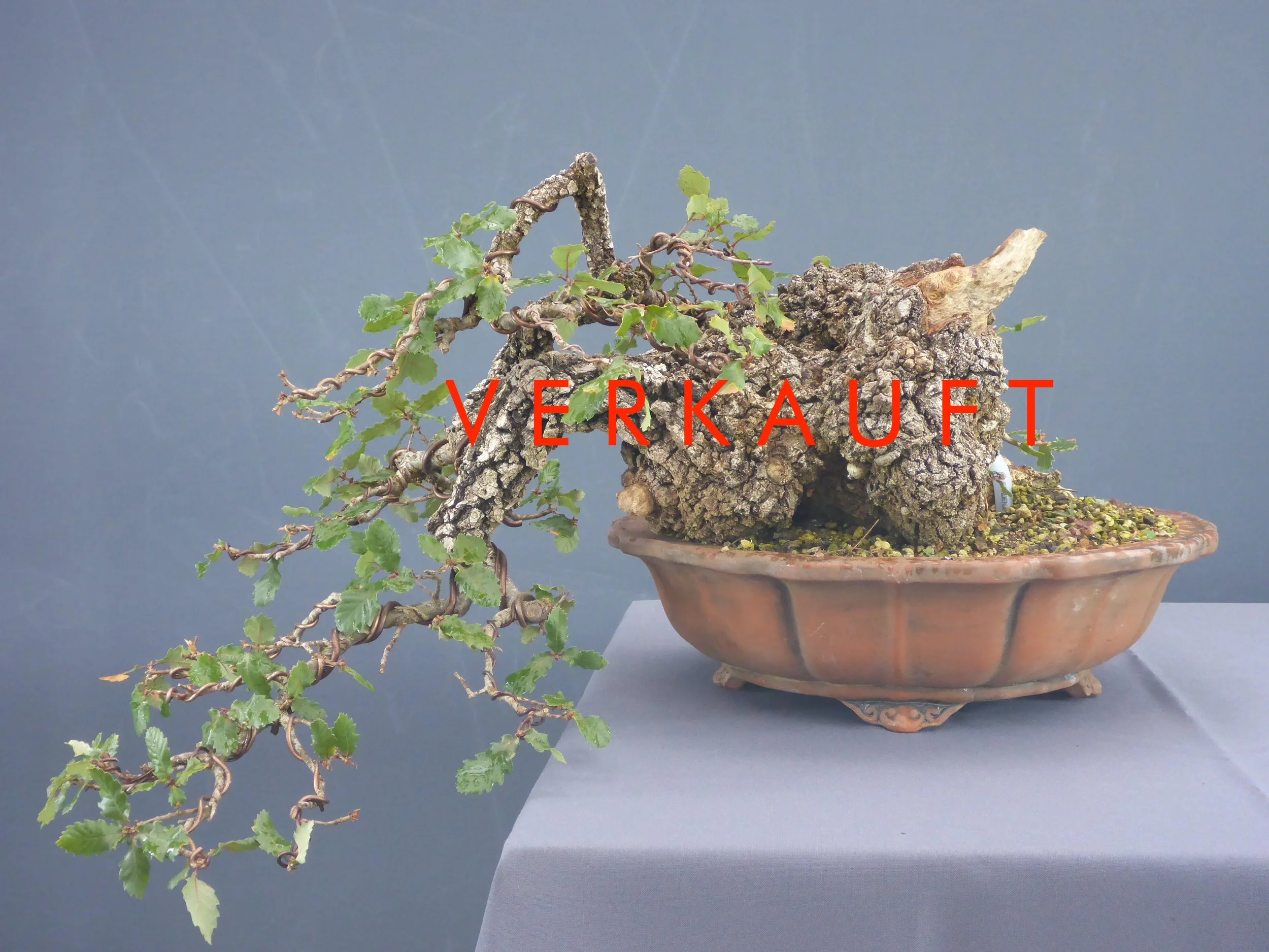 P1060217 verkauft.JPG