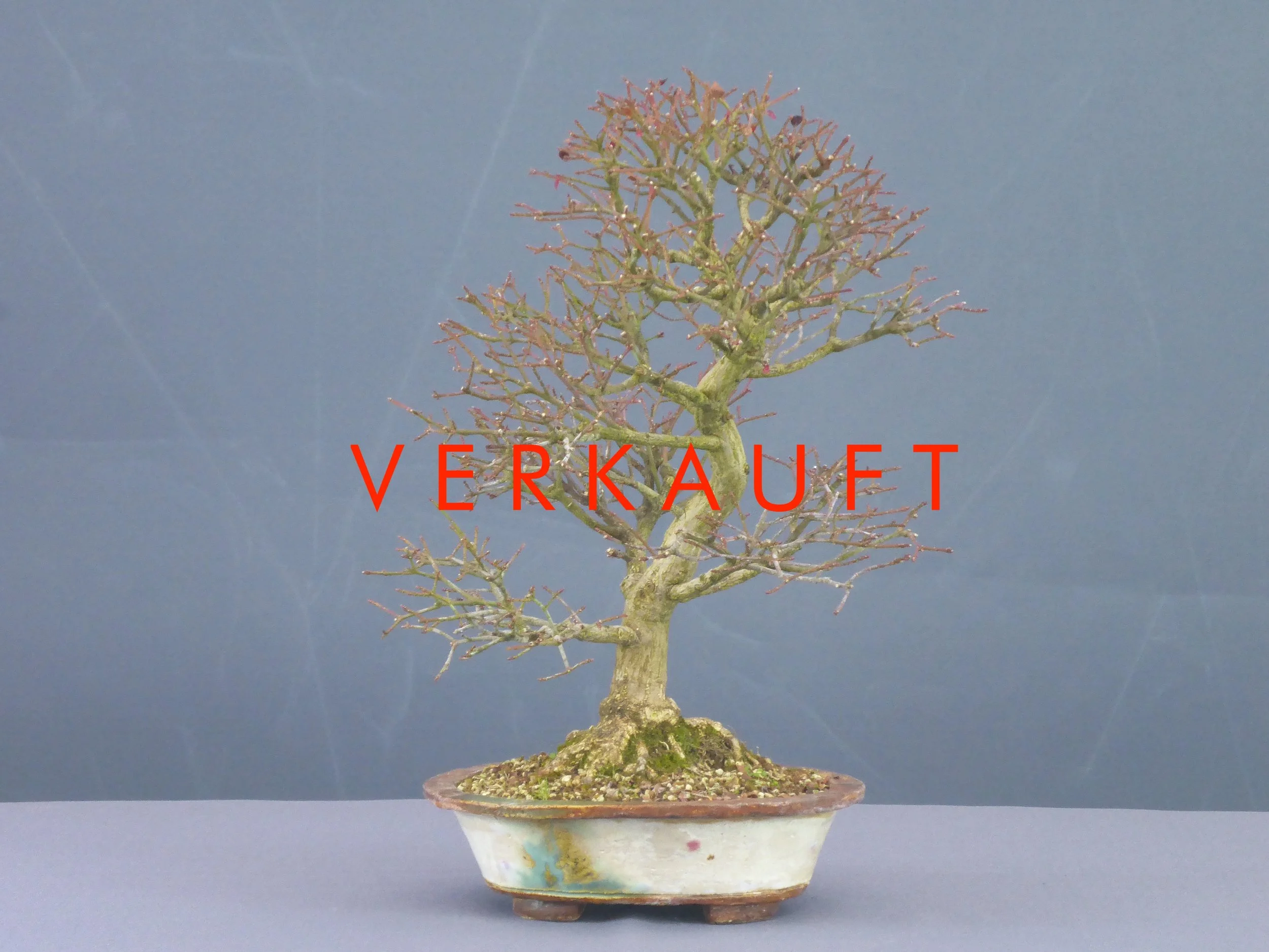 P1060126 verkauft.JPG