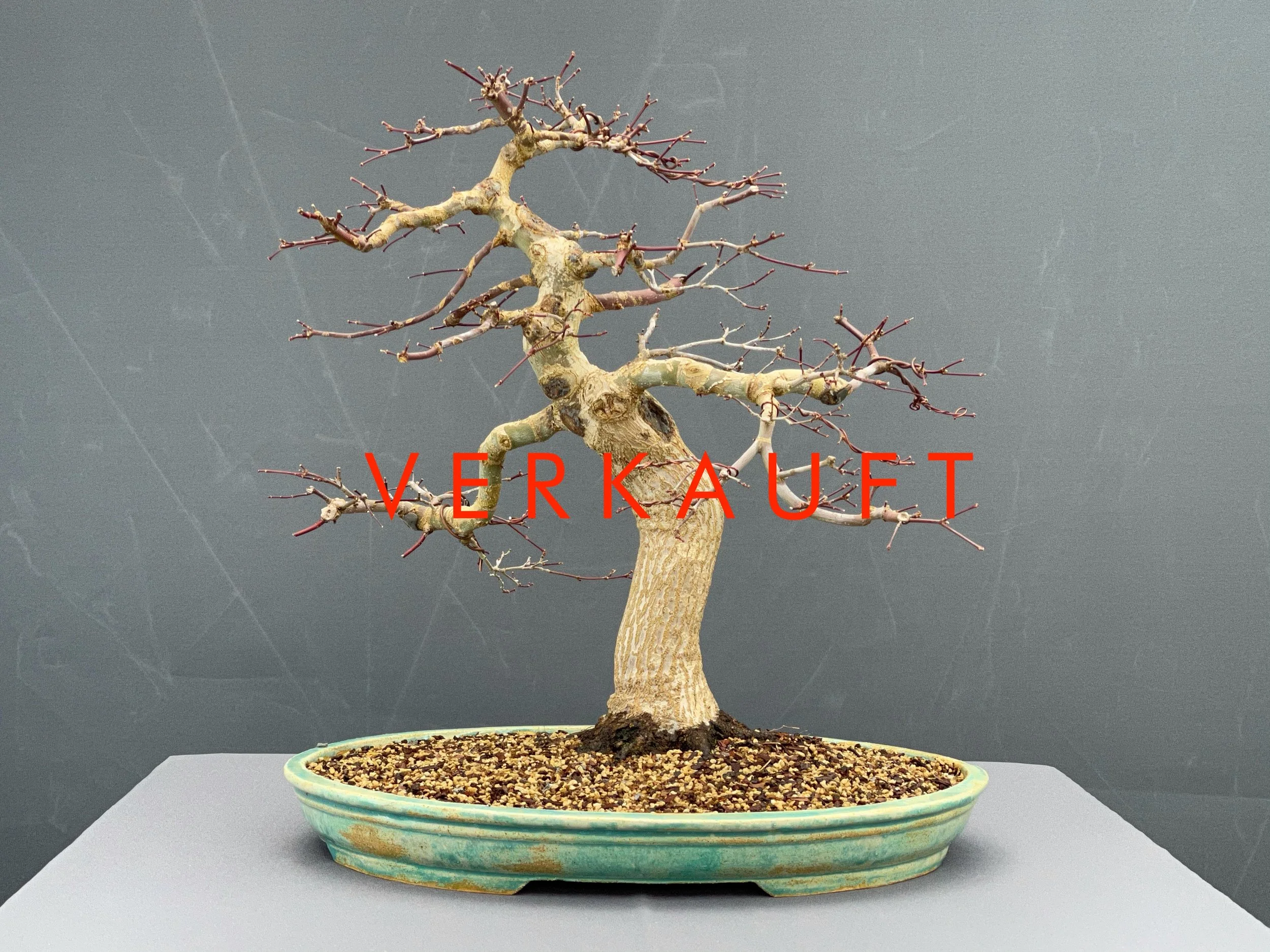 IMG_0674D verkauft.JPG