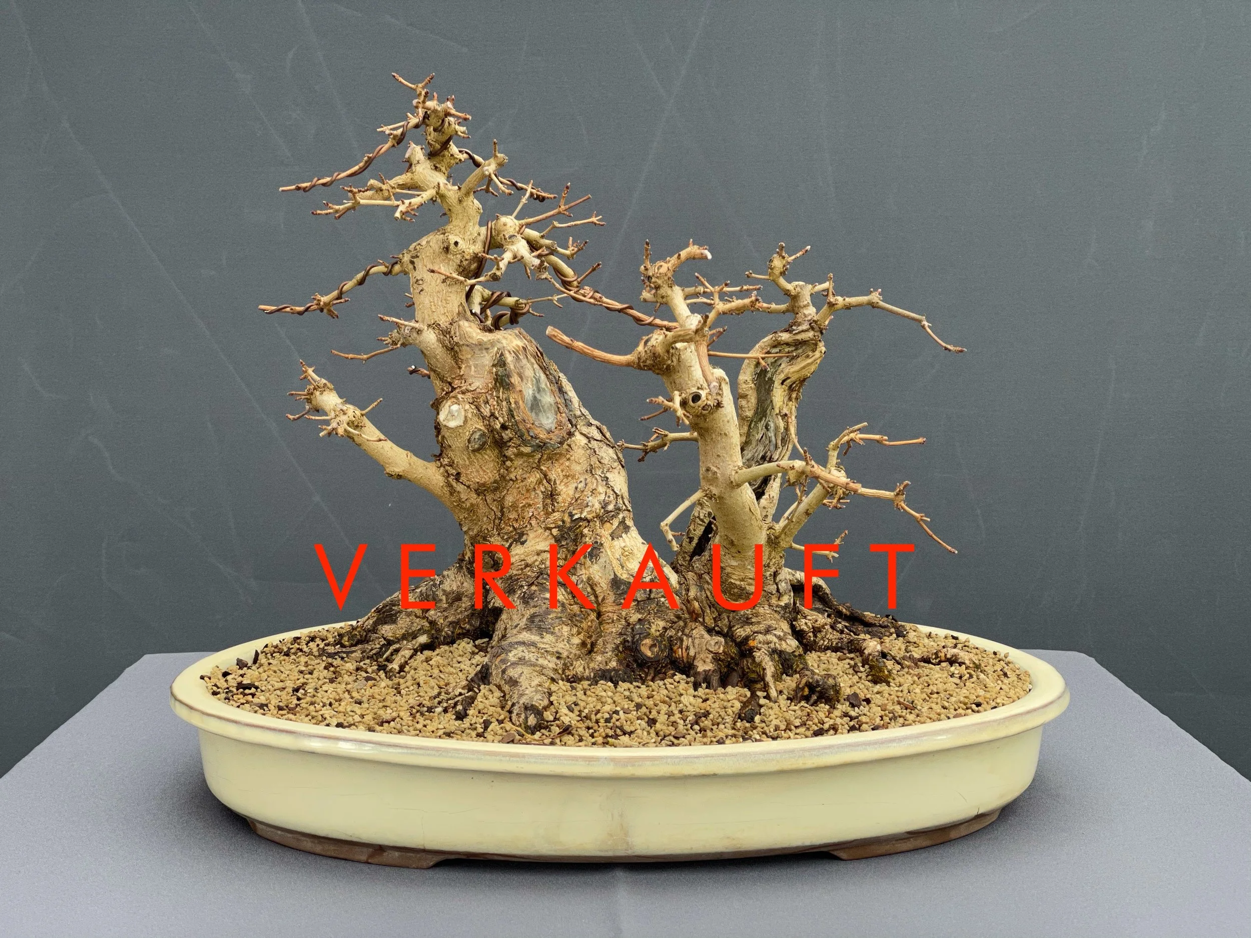 IMG_0824D verkauft.JPG