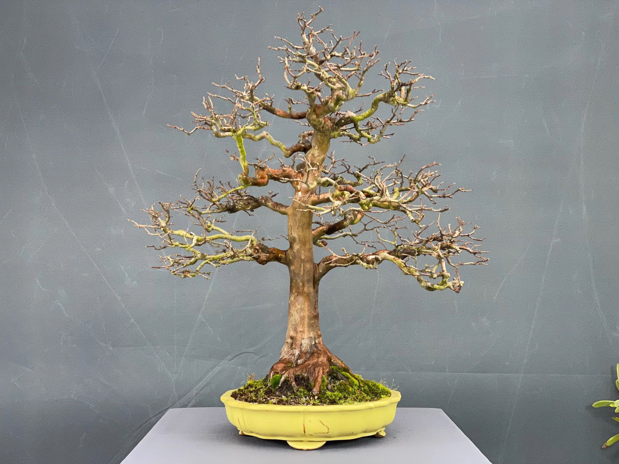 IMG_5263D verkauft.JPG