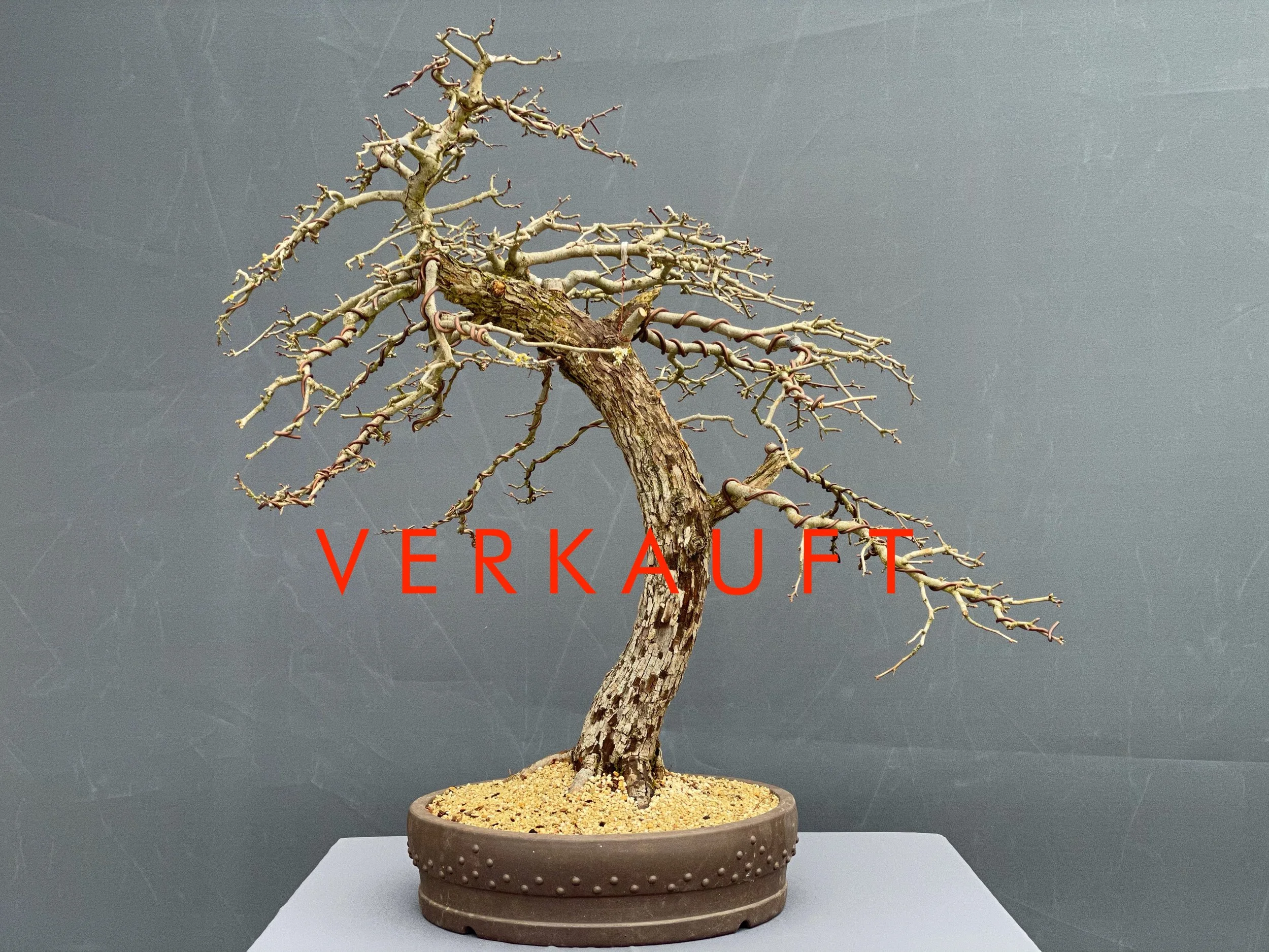 IMG_0861D verkauft.JPG